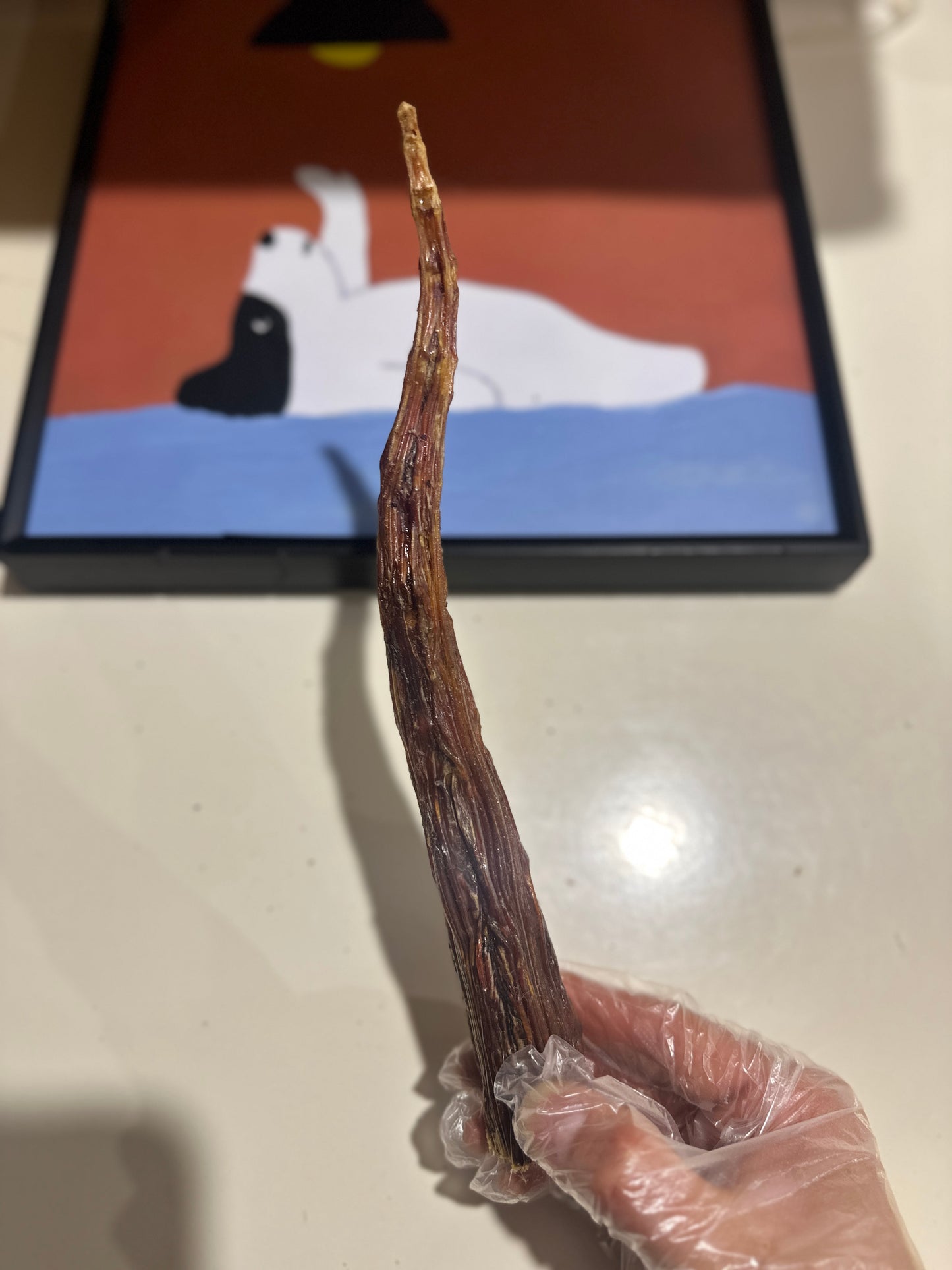 Kangaroo Tail Tips (1kg) 100% Australian Natural Dog Treats Free Post