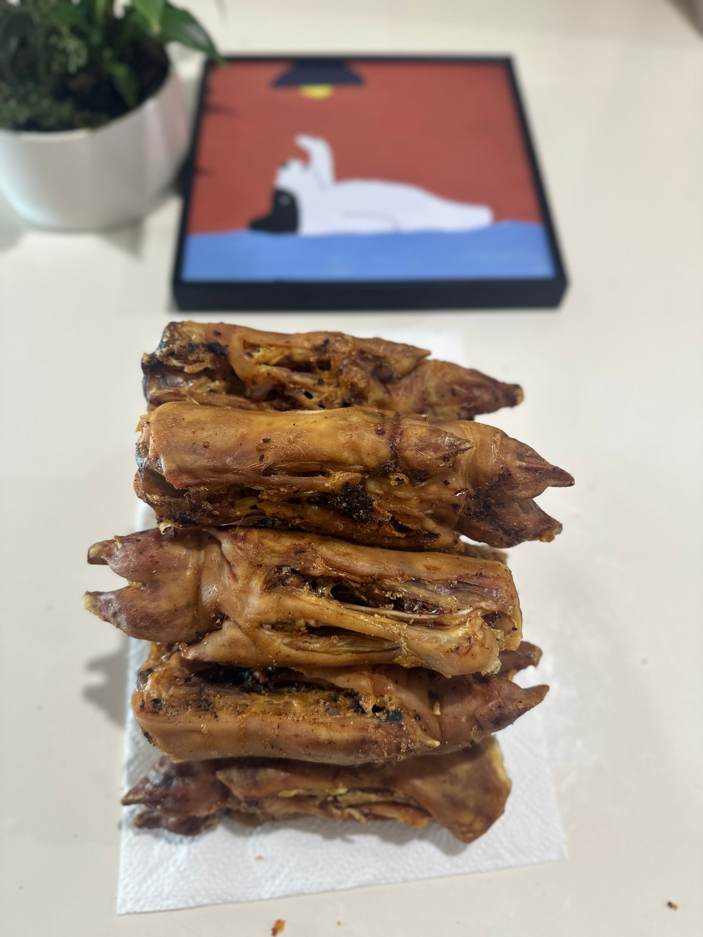 Pork Trotters (Whole) 10 Pcs 100% Australian Natural Dog Food Free Post