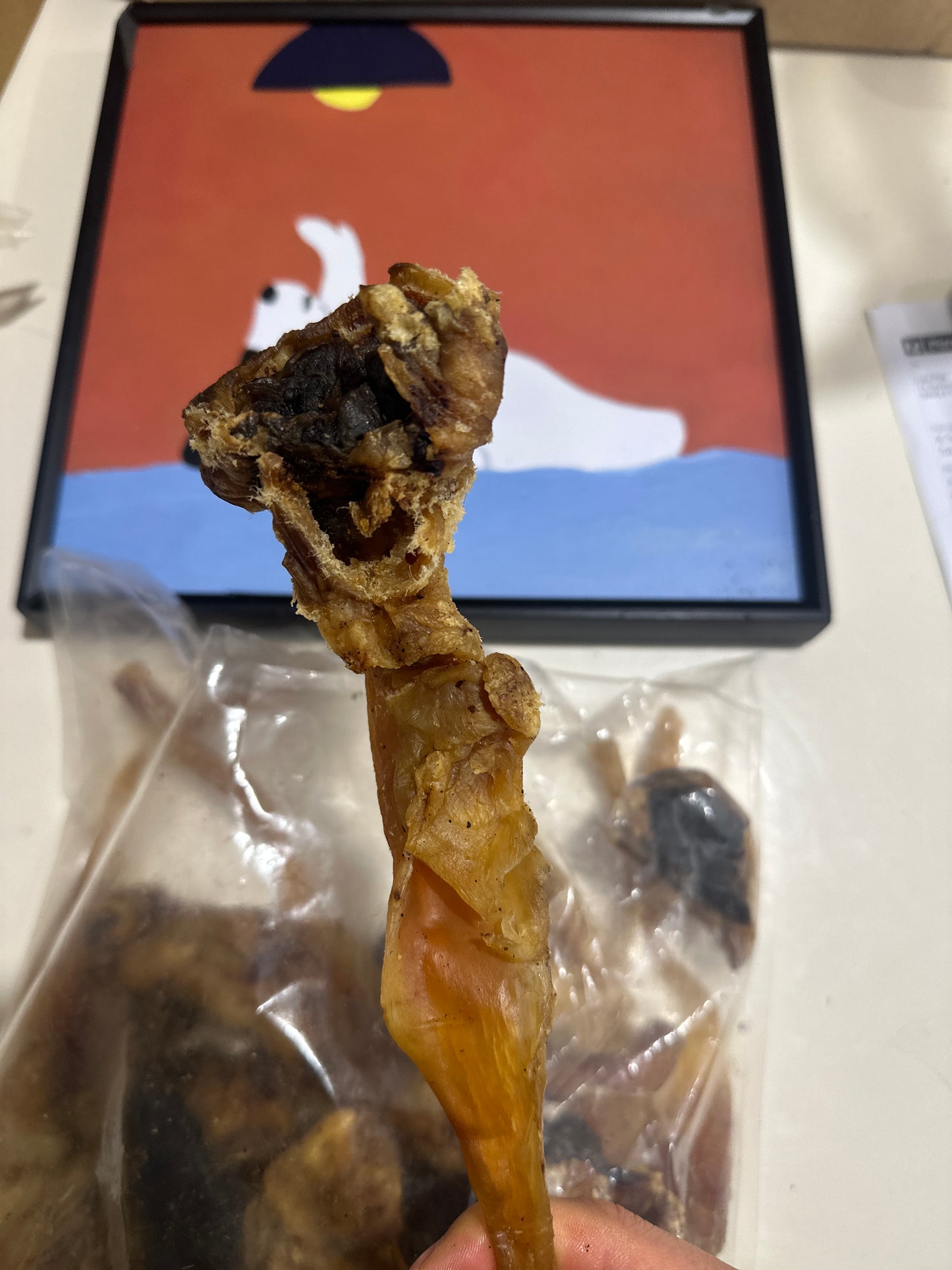 Beef Archillees tendon Value Pack 1kg 100% Australian Natural dog treats Chewing Satisfaction free post