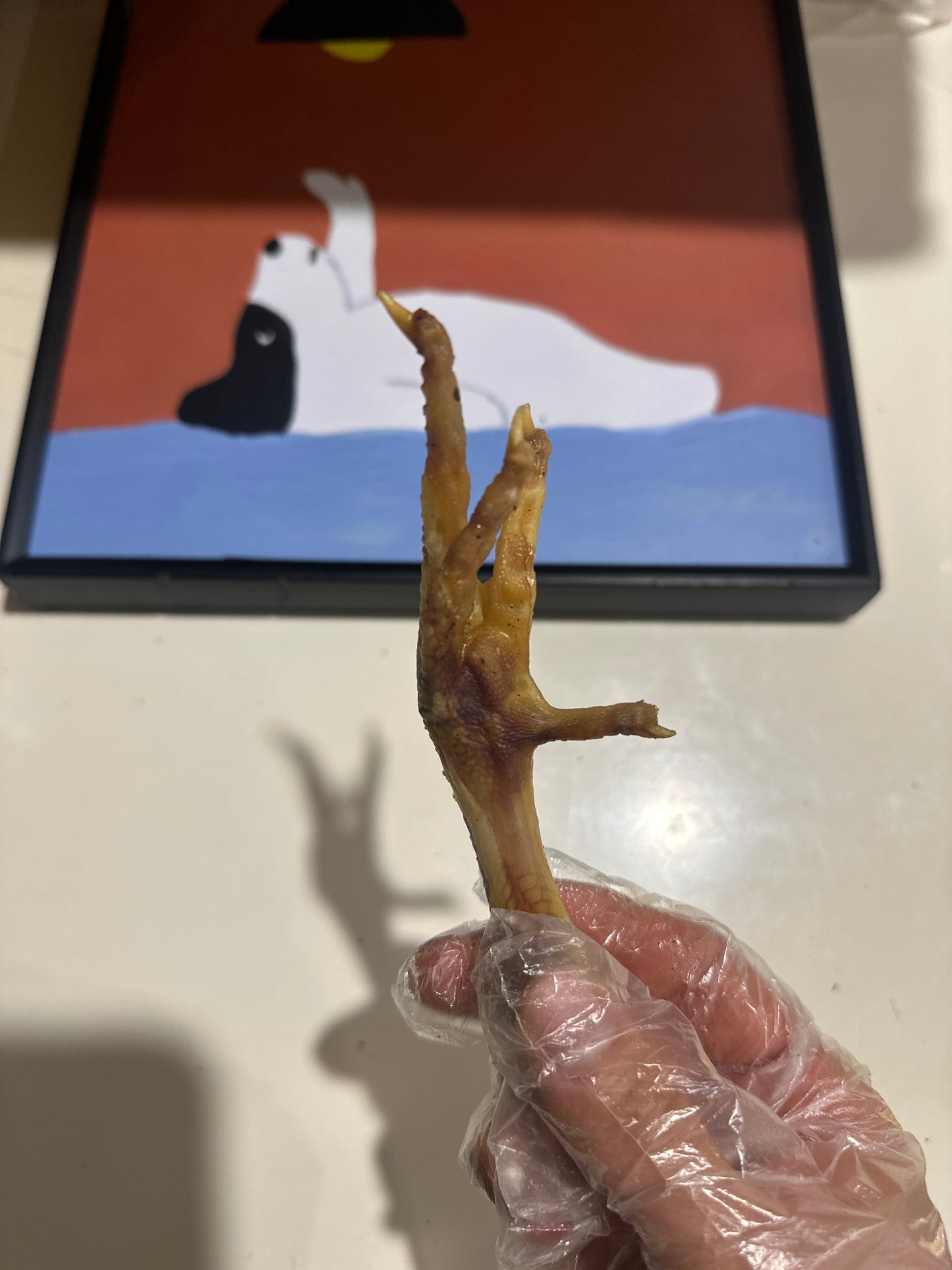 Chicken Feet (1kg) 100% Australian Natural Dog Treats Free Post