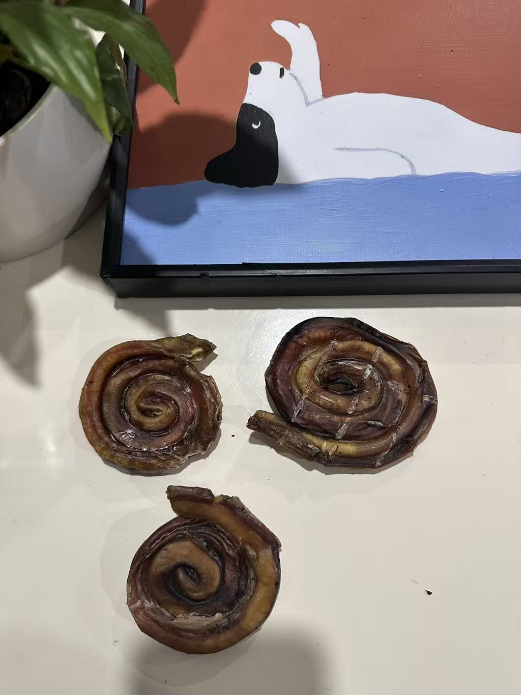 Bully Pinwheels 1kg 100% Australian Natural Dental Treats Free Post