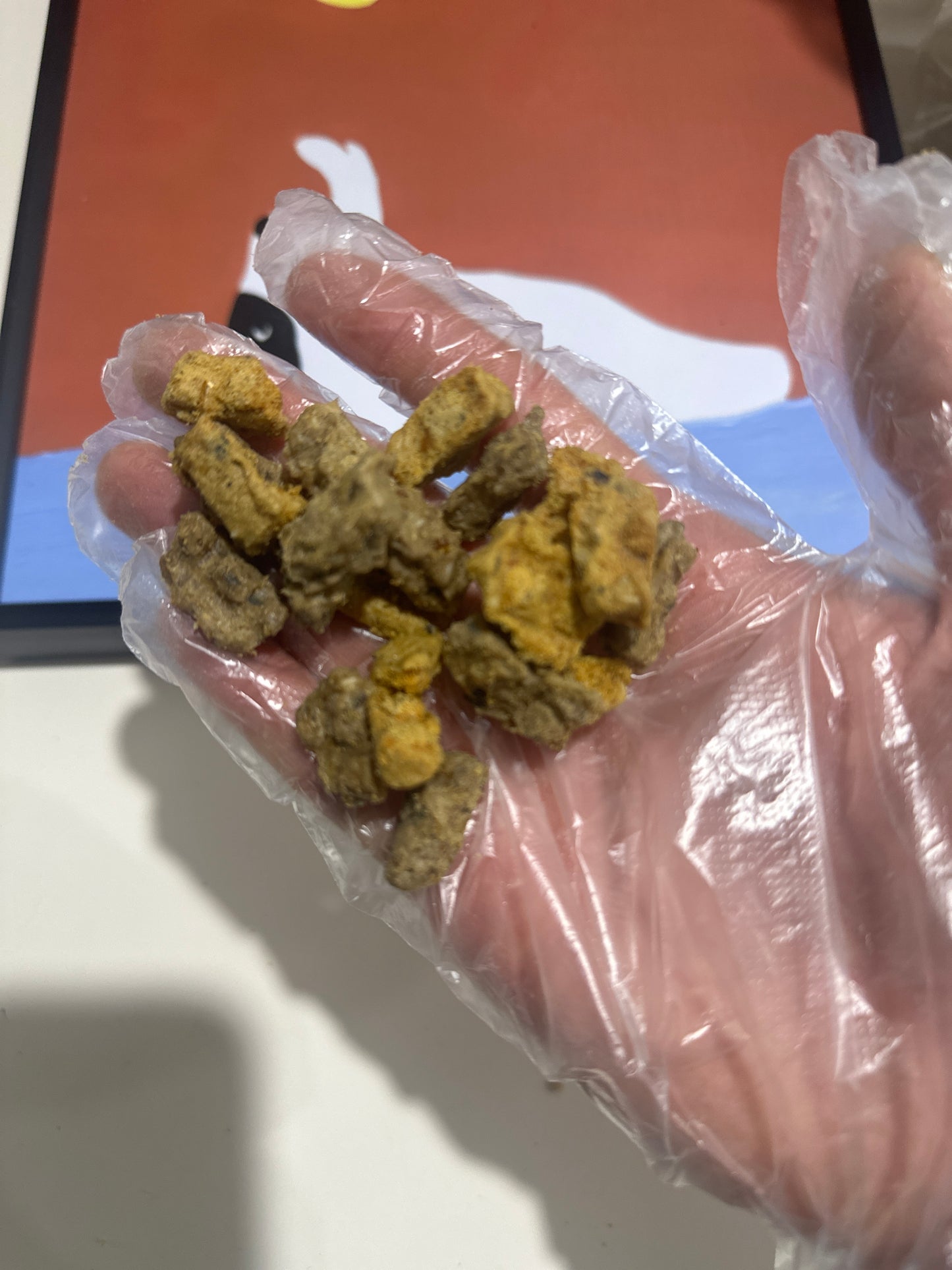 Salmon Training Bites 1KG 100% Australian Natural Dog & Cat Treats Free Post