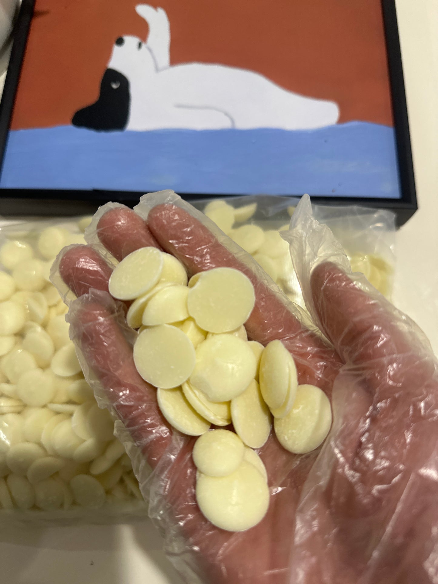 Plain Yoghurt Drops 1kg 100% Australian Natural Training Treats Free Post