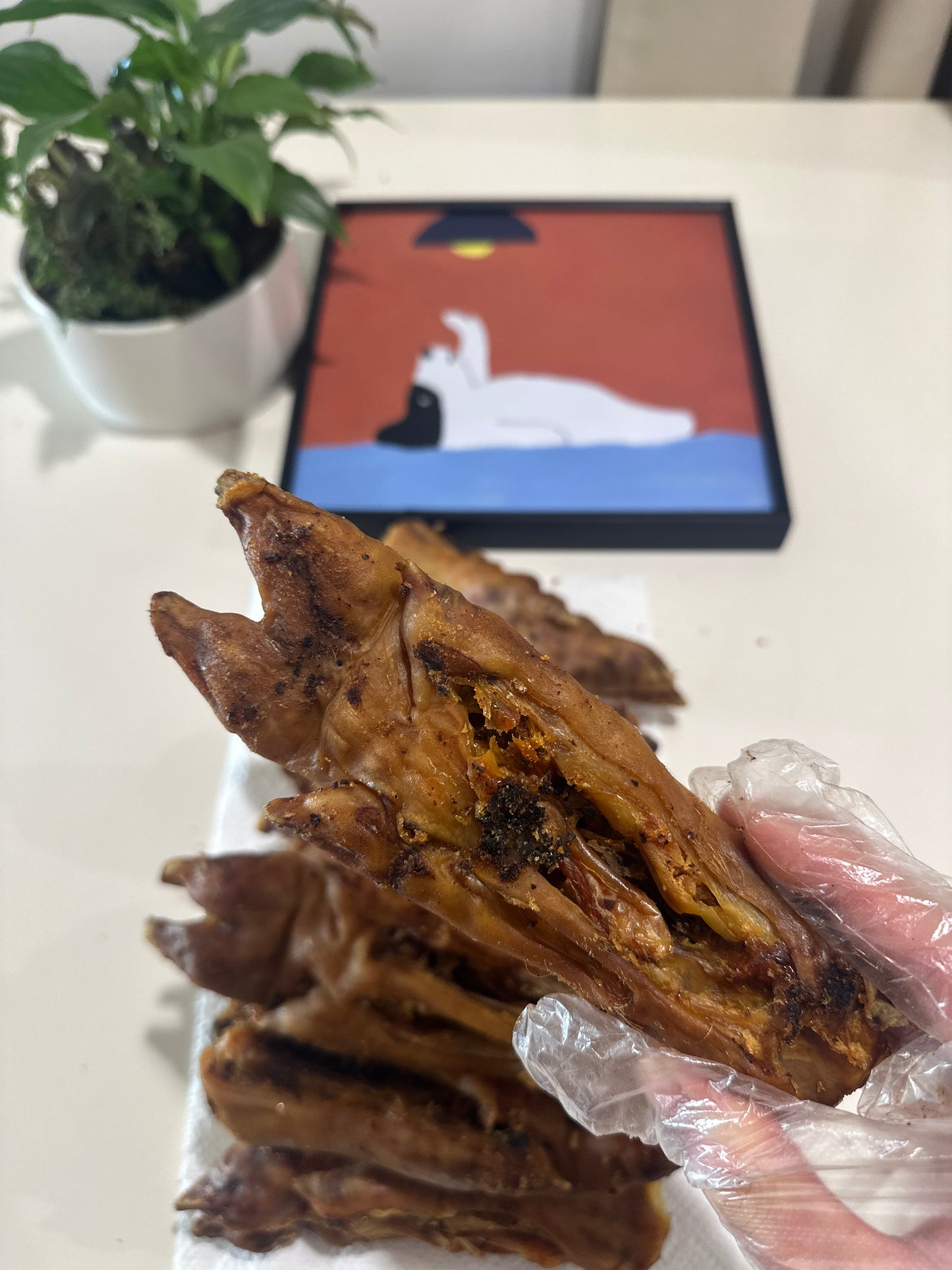 Pork Trotters (Whole) 10 Pcs 100% Australian Natural Dog Food Free Post