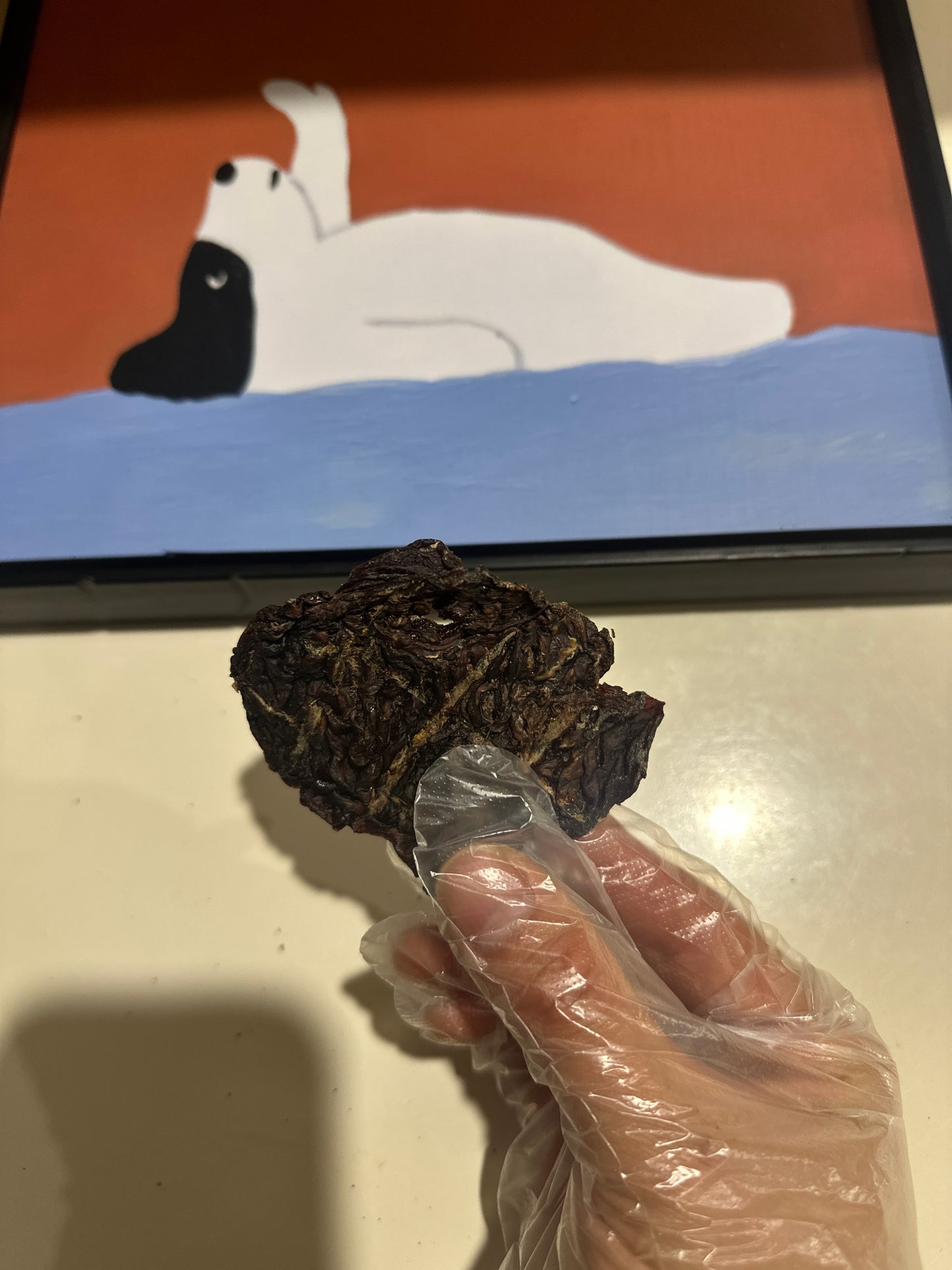 Kangaroo Meat Nuggets (1kg) 100% Australian Natural Dog Treats Free Post