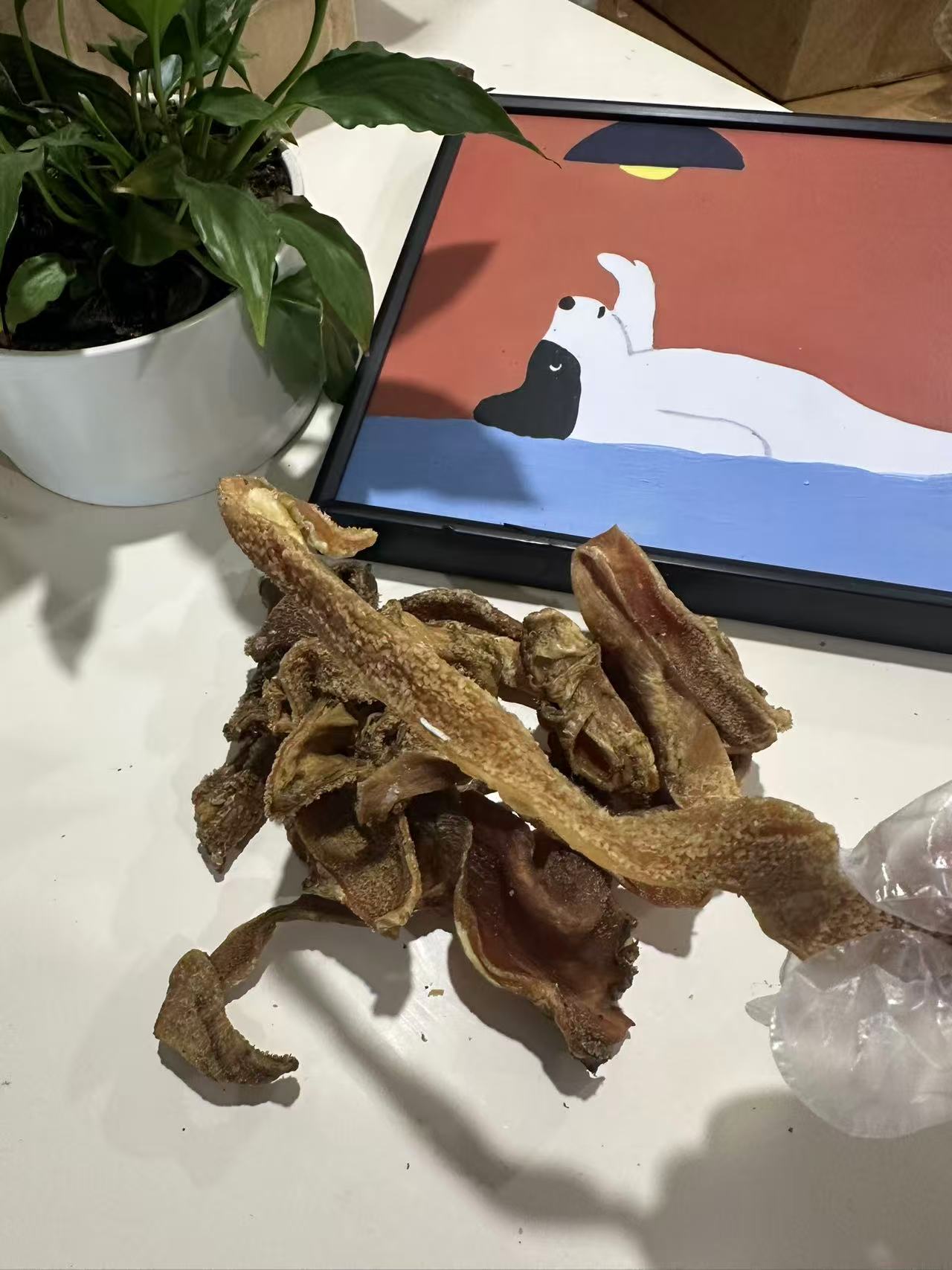Beef Tripe Strips (1kg) 100% Australian Natural Dog Treats Free Post on a table with a plant and artwork.