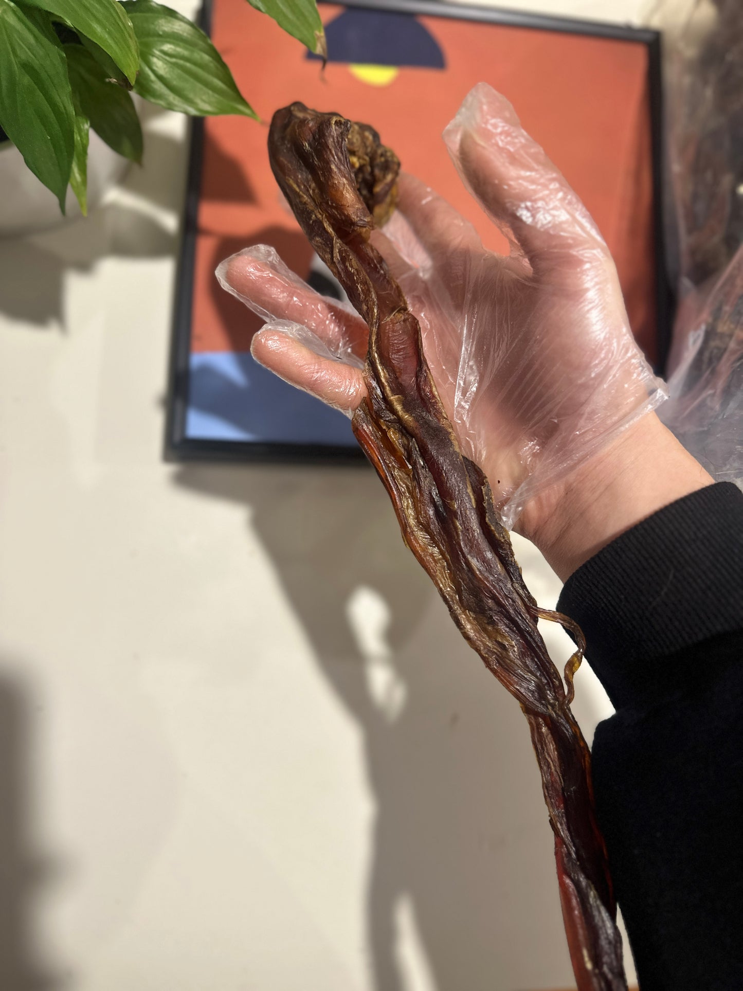 Kangaroo Tendons 1Kg 100% Australian Natural Dog Treats Free Post