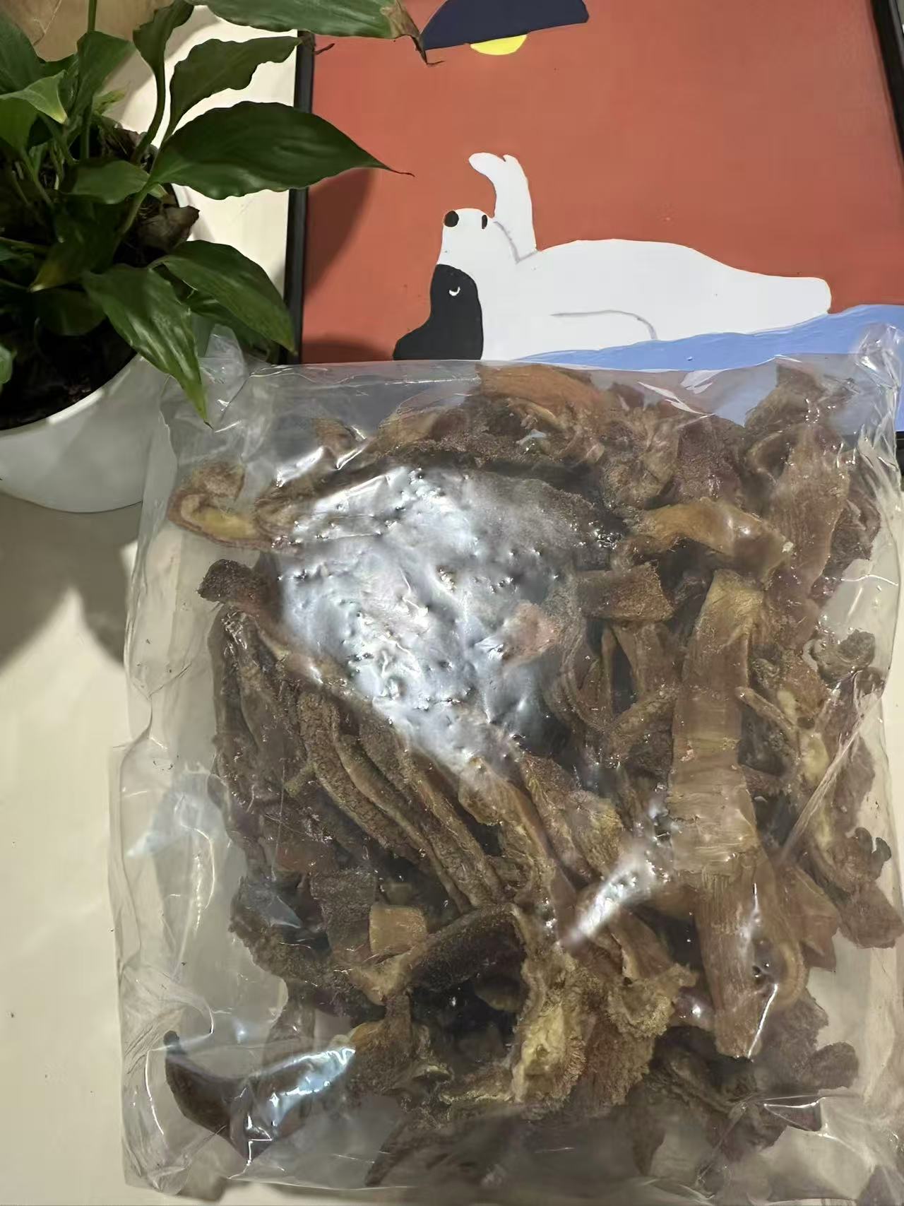 Beef Tripe Strips (1kg) 100% Australian Natural Dog Treats Free Post, nutrient-rich dog treats in a clear bag.