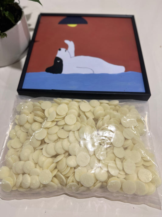 Plain Yoghurt Drops 1kg 100% Australian Natural Training Treats Free Post
