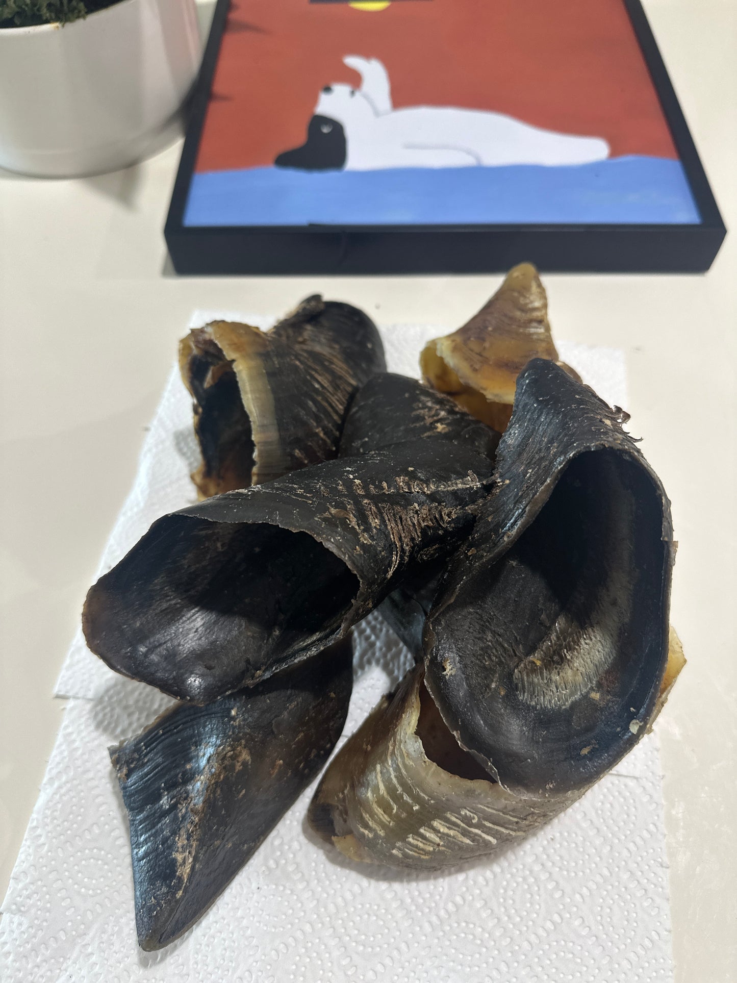 Cow Hooves (10pcs) 100% Australian Natural Dog Treats Free Post