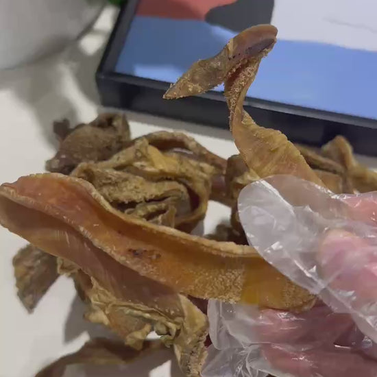 Beef Tripe Strips (1kg) 100% Australian Natural Dog Treats Free Post held with gloved hand, showing nutrition-rich strips.