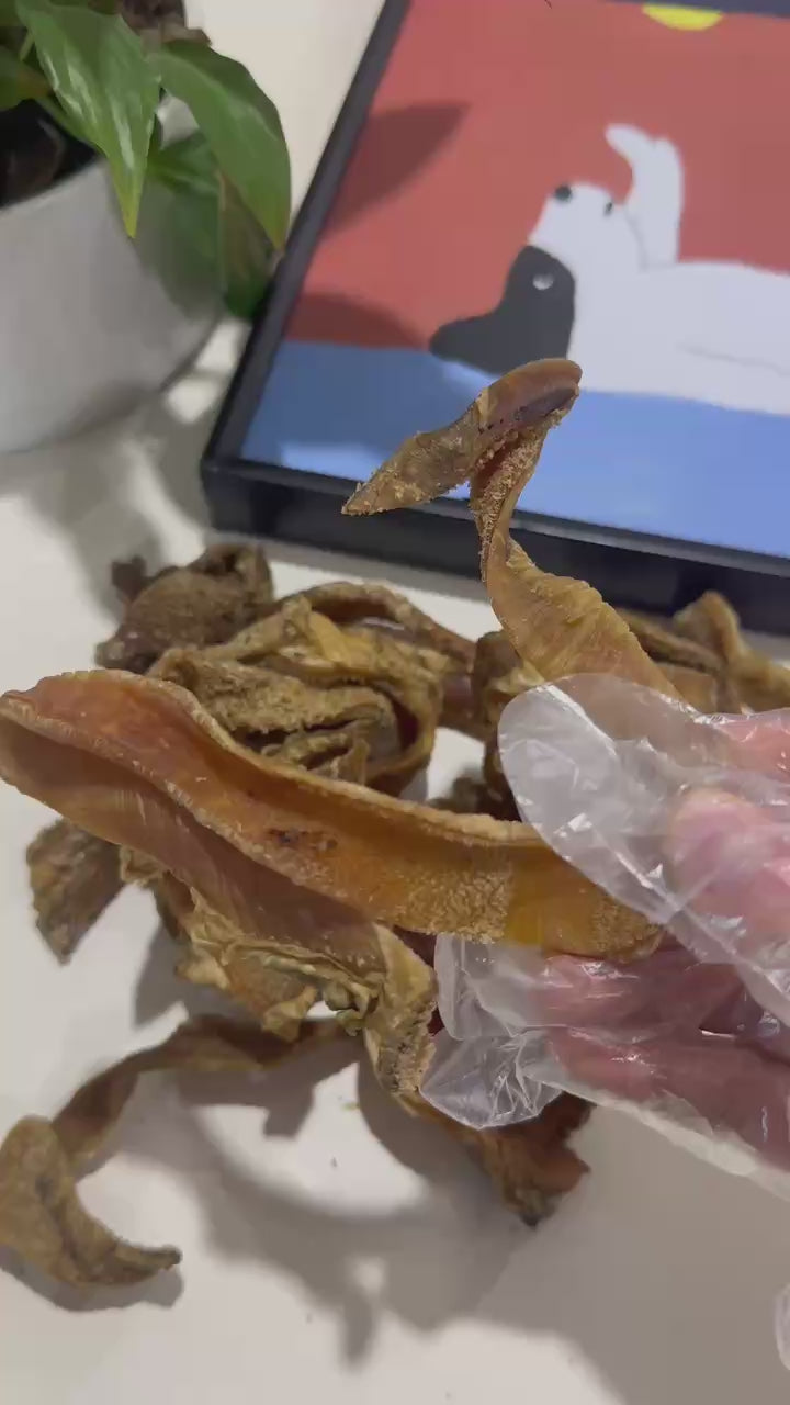 Beef Tripe Strips (1kg) 100% Australian Natural Dog Treats Free Post held with gloved hand, showing nutrition-rich strips.