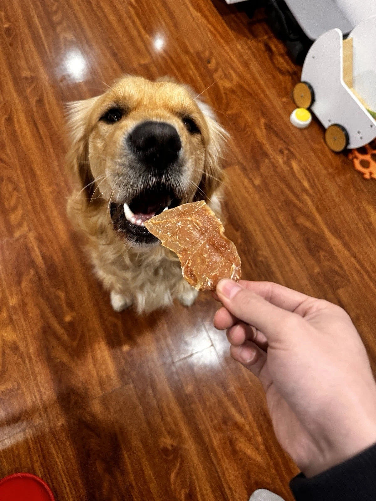 Duck Jerky Value Pack (1kg) 100% Australian Natural Dog Treats Crunchy Treats Free Post